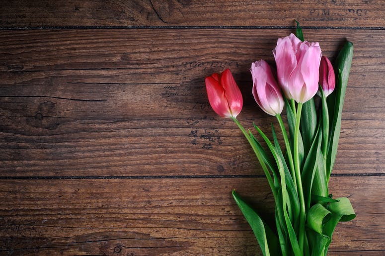 Top 5 Surprising Things About The Month of March Top 5 Surprising Things About The Month of March