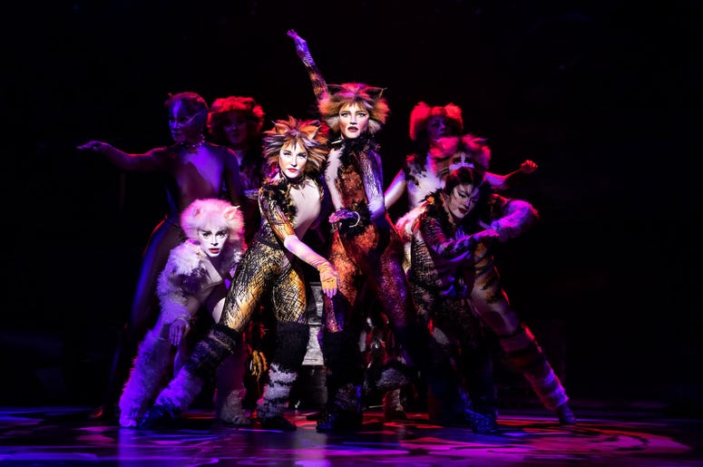 CATS at Pantages Theatre CATS at Pantages Theatre