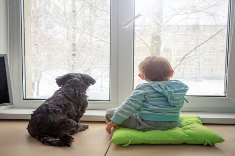 Boy_and_Dog Boy_and_Dog