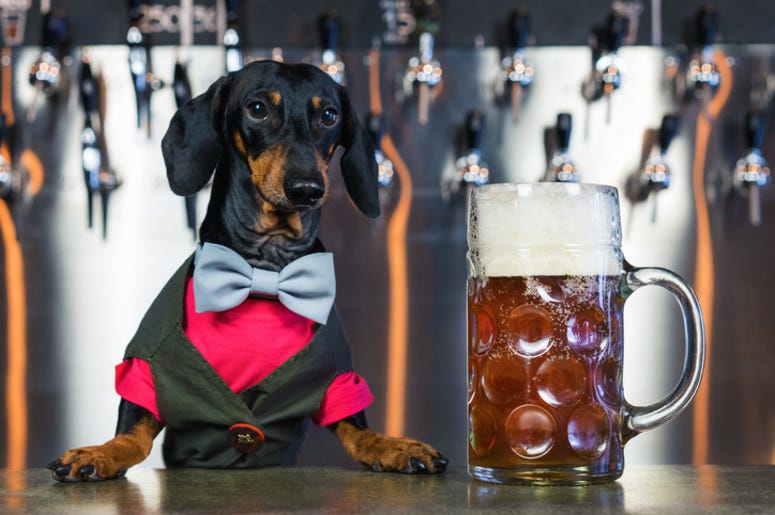 Emotional_Support_Beer Emotional_Support_Beer