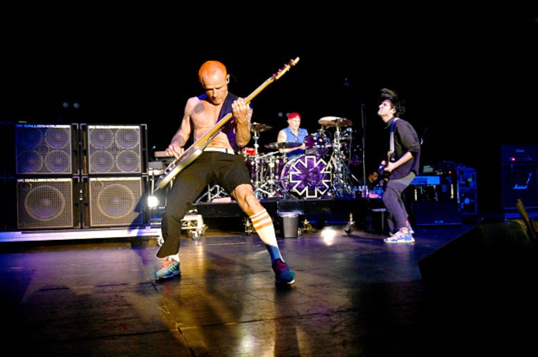Flea Flea
