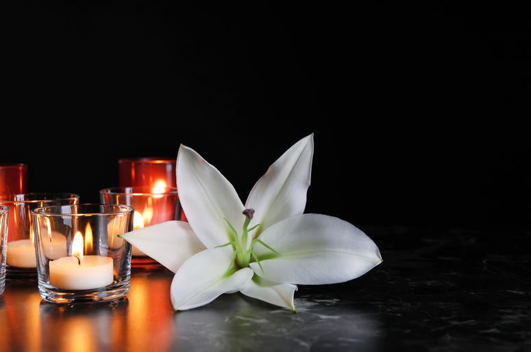 Japanese Peace Lilly
