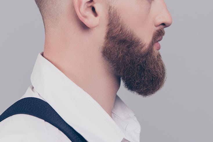 Portrait, Male, Face, Beard Portrait, Male, Face, Beard