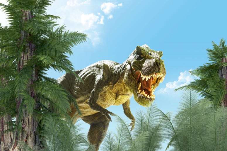 T_Rex T_Rex