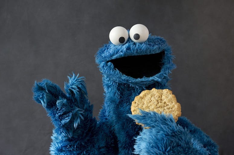 Cookie Monster, Cookie, Portrait, Studio, Pose, Sesame Street Cookie Monster, Cookie, Portrait, Studio, Pose, Sesame Street