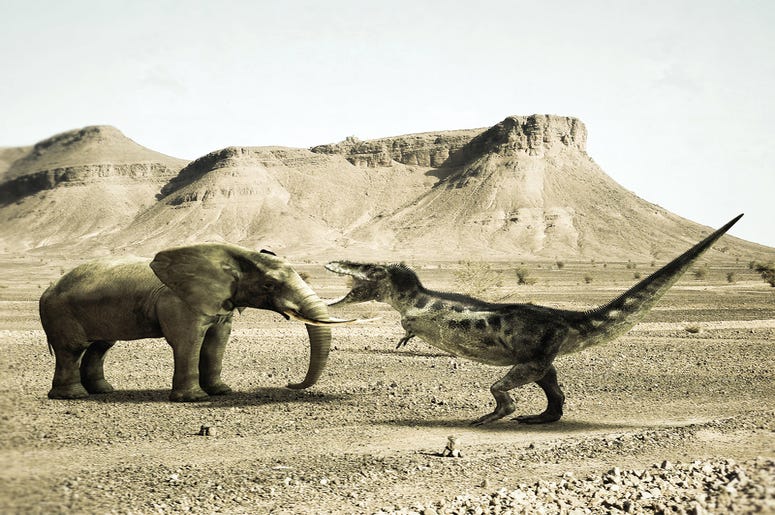 dinosaur dinosaur