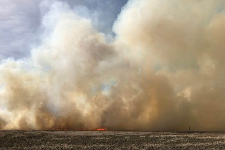 Fire Field baseball, fire, field, rain, dry, why, little league
