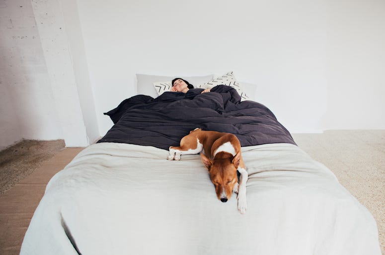 Woman, Sleeping, Bed, Dog, Eyes Closed Woman, Sleeping, Bed, Dog, Eyes Closed