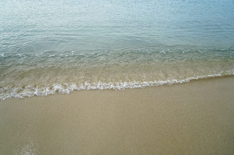 Beach, Shore, Water Beach, Shore, Water