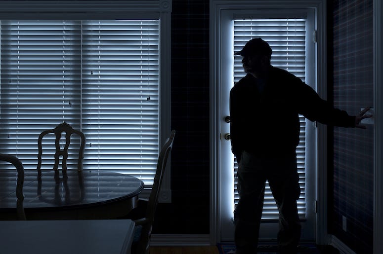 Burglar, Home, Night Burglar, Home, Night