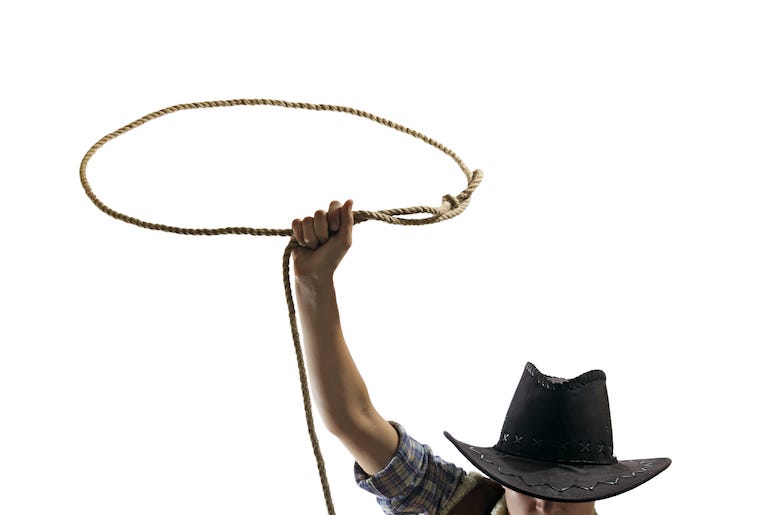 Cowboy, Lasso, Rope Cowboy, Lasso, Rope