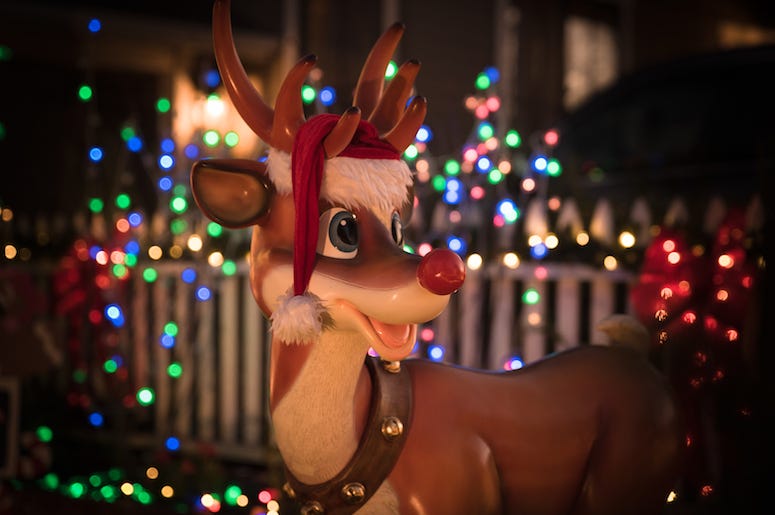 Rudolph, Christmas, Decoration, Lights, Front Yard Rudolph, Christmas, Decoration, Lights, Front Yard