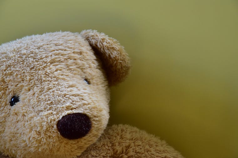 Teddy Bear, Face, Close Up, Wall Teddy Bear, Face, Close Up, Wall
