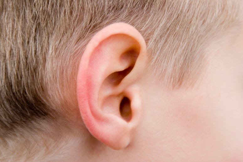 Human Ear