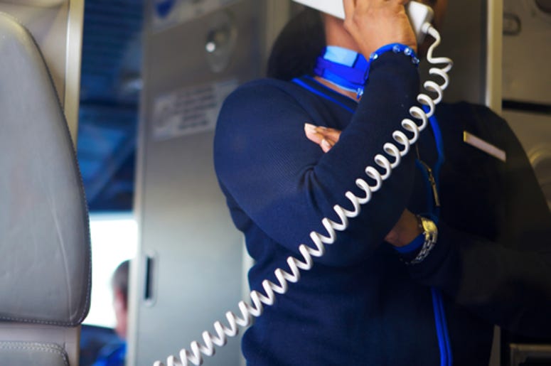 Flight Attendant