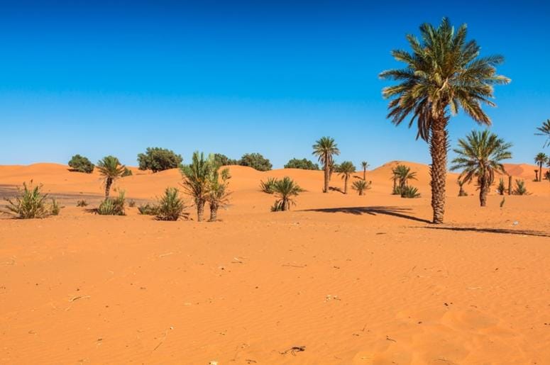 Desert Desert