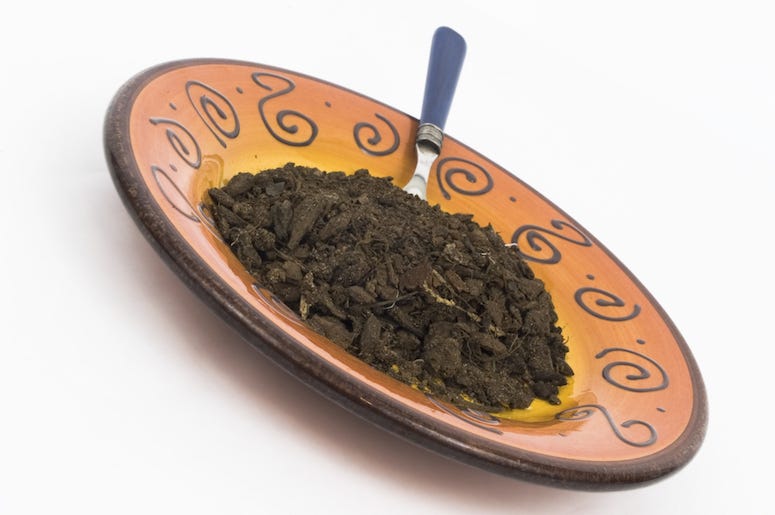 Plate, Dirt, Spoon Plate, Dirt, Spoon