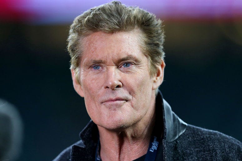 David Hasselhoff, Smirk, Smile, Red Carpet, 2017 David Hasselhoff, Smirk, Smile, Red Carpet, 2017
