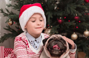 Boy petting his dog Boy petting his dog