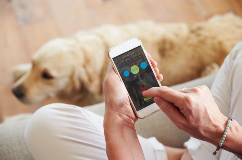 Guy using an app