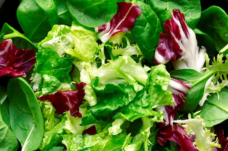 Vegetables, Lettuce, Salad, Close Up Vegetables, Lettuce, Salad, Close Up