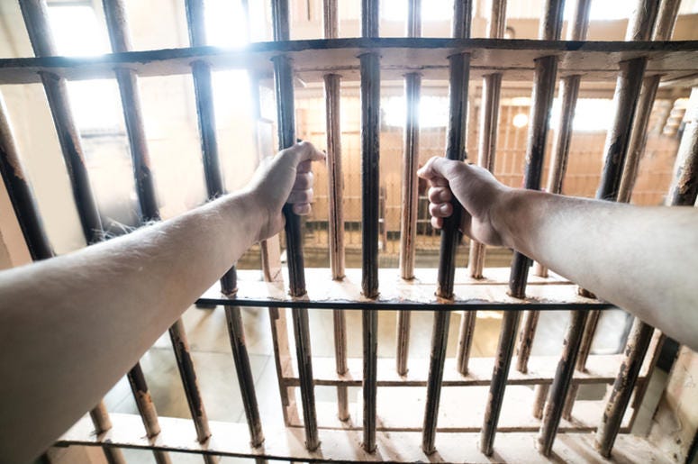 prison bars, prison, jail, t shirt, t shirt cannon, idiot