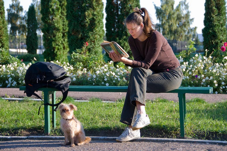 College, Student, Reading, Bench, Park, Dog College, Student, Reading, Bench, Park, Dog