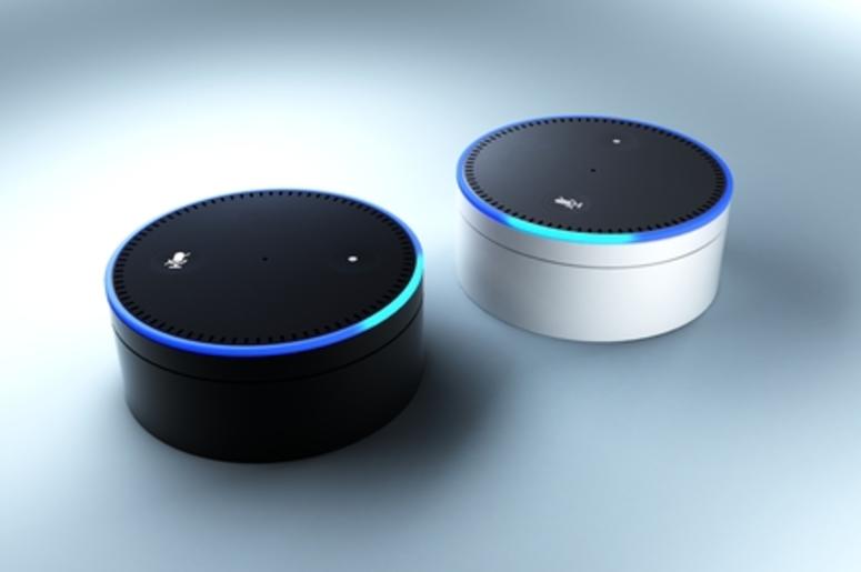 Amazon Echo Dot
