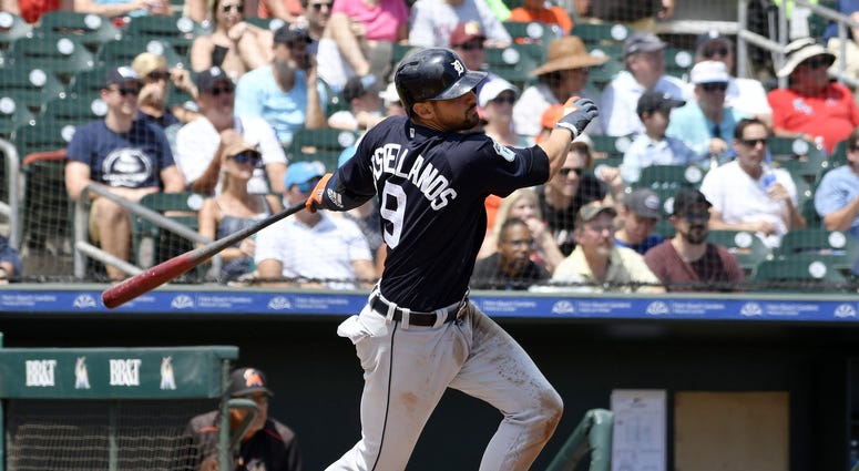 Detroit Tigers