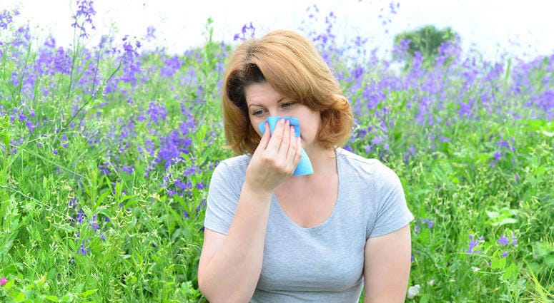 6 tips to manage allergies naturally 6 tips to manage allergies naturally
