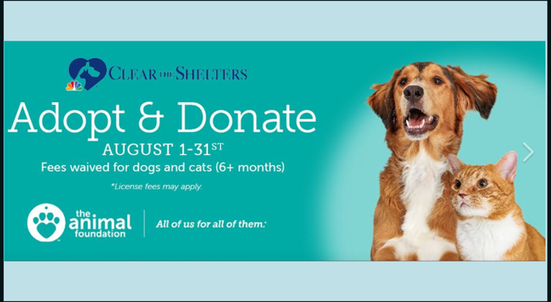 The Animal Foundation's 'Clear The Shelters' Promo