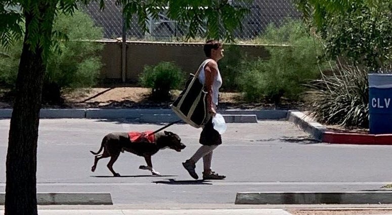 Woman wanted in April 2020 Dog Attack