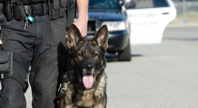 A K9 police officer with his dog.