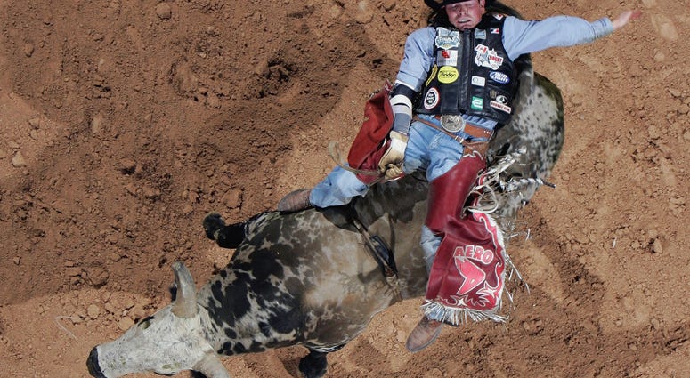 Scott Schiffner of Canada rides "Pudd" during the Professional Bull Riders World Finals
