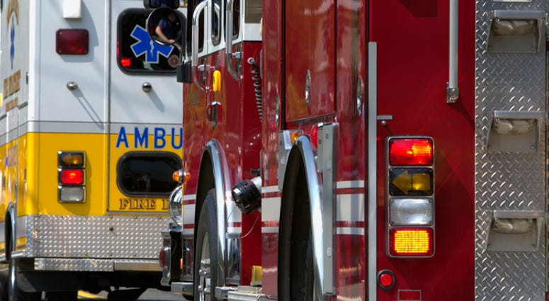 fire engine fire engine