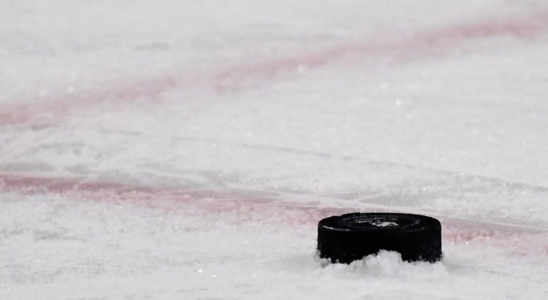 Hockey puck Hockey puck