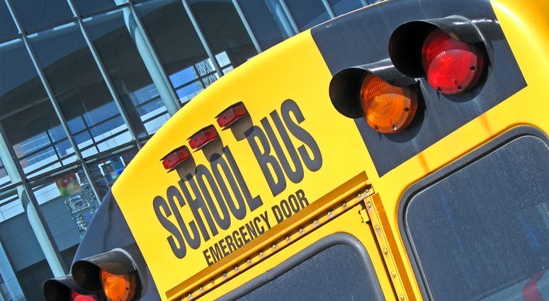 school bus school bus