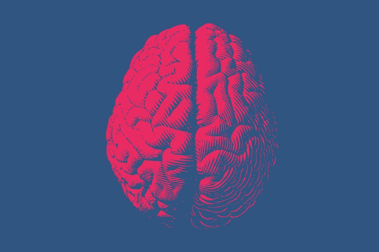 Monochrome drawing brain vintage style Monochrome drawing brain vintage style