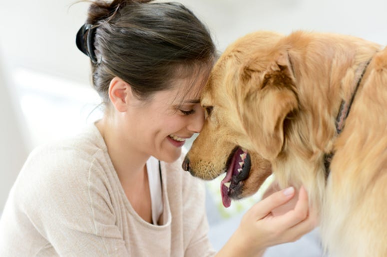 Woman and Dog Woman and Dog