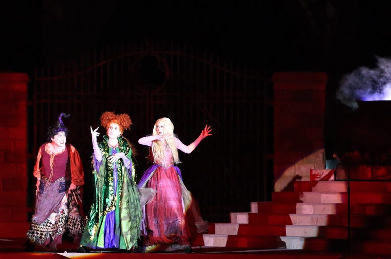 Hocus Pocus Hocus Pocus