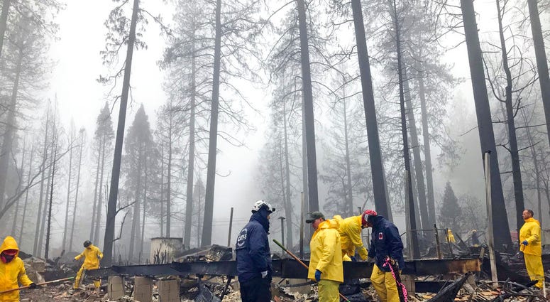 After a brief delay to let a downpour pass, volunteers resume their search for human remains at a mobile home park in Paradise, Calif., Friday, Nov. 23, 2018. After a brief delay to let a downpour pass, volunteers resume their search for human remains at a mobile home park in Paradise, Calif., Friday, Nov. 23, 2018.