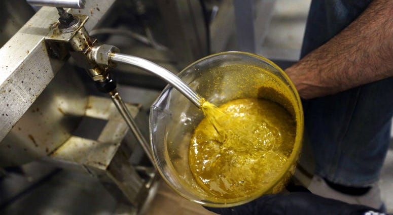 FILE - In this April 24, 2018, file photo, the first rendering from hemp plants extracted from a super critical CO2 extraction device on it's way to becoming fully refined CBD oil spurts into a large beaker at New Earth Biosciences in Salem, Ore. FILE - In this April 24, 2018, file photo, the first rendering from hemp plants extracted from a super critical CO2 extraction device on it's way to becoming fully refined CBD oil spurts into a large beaker at New Earth Biosciences in Salem, Ore.