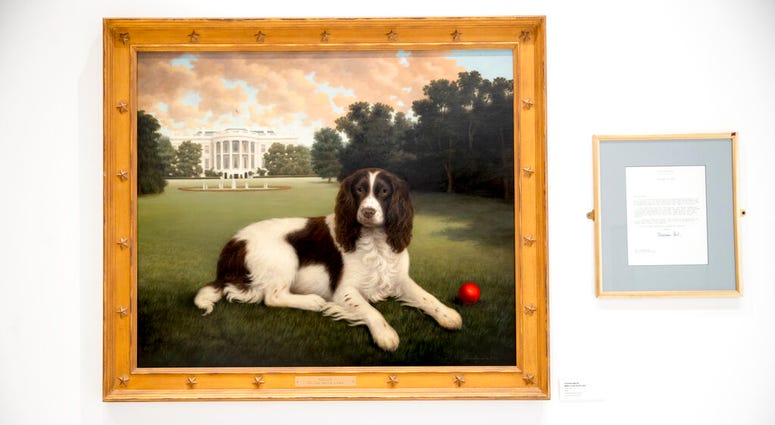 This Wednesday, Jan. 9, 2019, photo shows "Millie on the South Lawn" by Christine Merrill, alongside a letter from former first lady Barbara Bush on display at the American Kennel Club Museum of the Dog in New York. This Wednesday, Jan. 9, 2019, photo shows "Millie on the South Lawn" by Christine Merrill, alongside a letter from former first lady Barbara Bush on display at the American Kennel Club Museum of the Dog in New York.