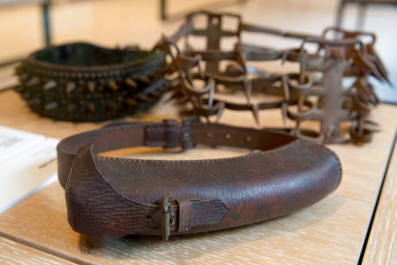 This Wednesday, Jan. 9, 2019, photo shows an American WWII messenger collar, foreground, on display next to other spike collars at the American Kennel Club Museum of the Dog in New York. An American WWII messenger collar, foreground, on display next to other spike collars.
