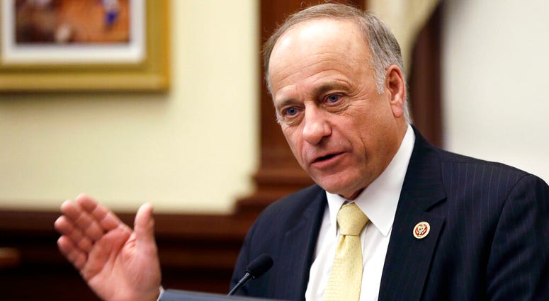 In this Jan. 23, 2014, file photo, Rep. Steve King, R-Iowa, of Iowa speaks in Des Moines. Rep. Steve King