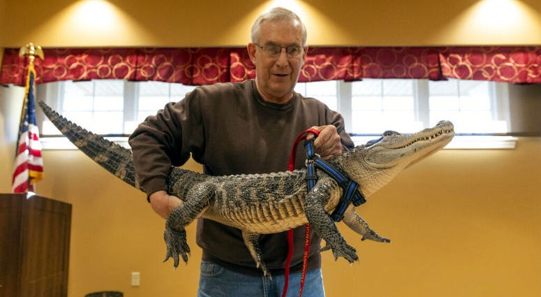 In this Jan. 14, 2019, photo Joie Henney, of Strinestown, lifts his emotional support animal, Wally, up on a table to give a presentation at the SpiriTrust Lutheran Village in York, Pa. In this Jan. 14, 2019, photo Joie Henney, of Strinestown, lifts his emotional support animal, Wally, up on a table to give a presentation at the SpiriTrust Lutheran Village in York, Pa.
