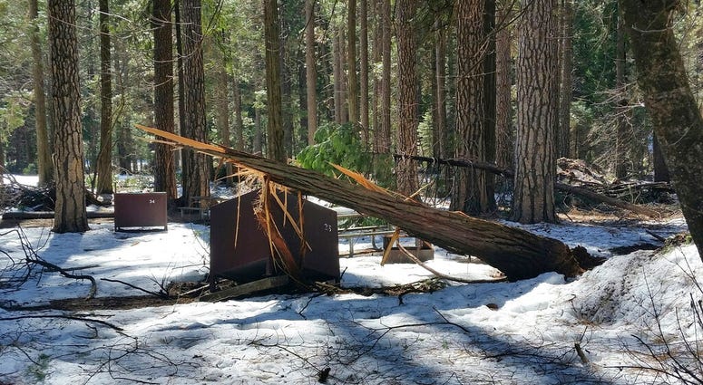 In this photo released Wednesday, March 13, 2019, by the National Park Service, is a damaged bear box after the recent heavy snowpack in Yosemite National Park, Calif. In this photo released Wednesday, March 13, 2019, by the National Park Service, is a damaged bear box after the recent heavy snowpack in Yosemite National Park, Calif.