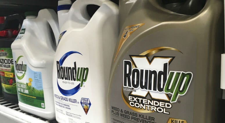 FILE - In this Sunday, Feb. 24, 2019 file photo, containers of Roundup are displayed on a store shelf in San Francisco. Containers of Roundup are displayed on a store shelf in San Francisco.