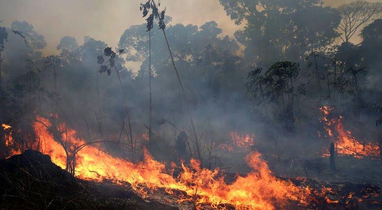 A fire burns along the road to Jacunda National Forest, near the city of Porto Velho in the Vila Nova Samuel region which is part of Brazil's Amazon, Monday, Aug. 26, 2019. A fire burns along the road to Jacunda National Forest, near the city of Porto Velho in the Vila Nova Samuel region which is part of Brazil's Amazon, Monday, Aug. 26, 2019.