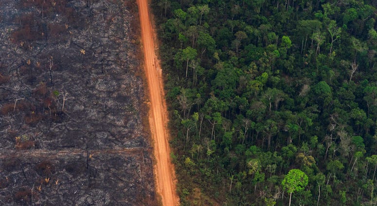 A lush forest sits next to a field of charred trees in Vila Nova Samuel, Brazil, Tuesday, Aug. 27, 2019. Lingering smoke in the Amazon caused concern Tuesday among Brazilians who say that respiratory problems, particularly among children and the elderly, have increased as fires in the region rage.